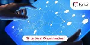 Structural Organisation