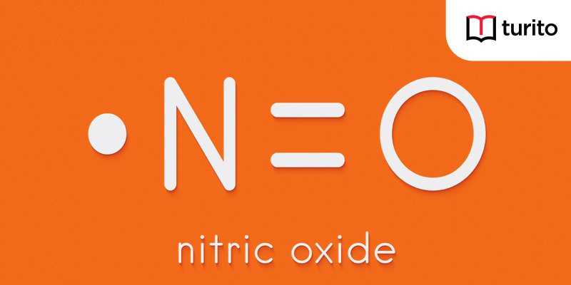 Nitric Oxide