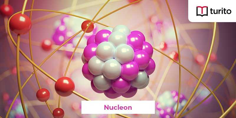 Nucleon