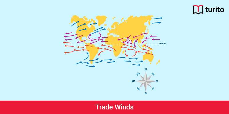 Trade Winds